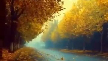 پاییز زیبا_x264 thumbnail