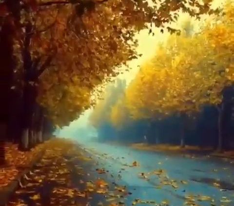 پاییز زیبا_x264 thumbnail