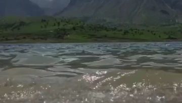 sahelziba thumbnail