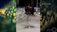 Shelik-hd_(new) thumbnail