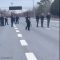 american-police-1_(new) thumbnail