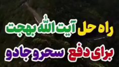 zed-sehr-bahjat_(new) thumbnail