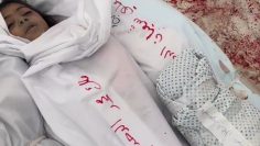 insta-m.z.gaza thumbnail