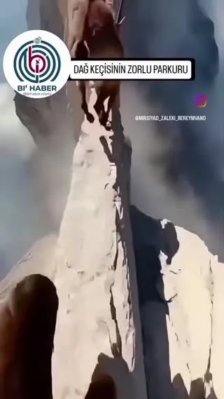 پازن ها حیوانات عجیب در استان مرکزی که در کوه مثل زمین صاف می پرند